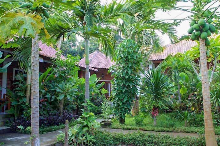 Enak Bungalow Amed Buitenkant foto